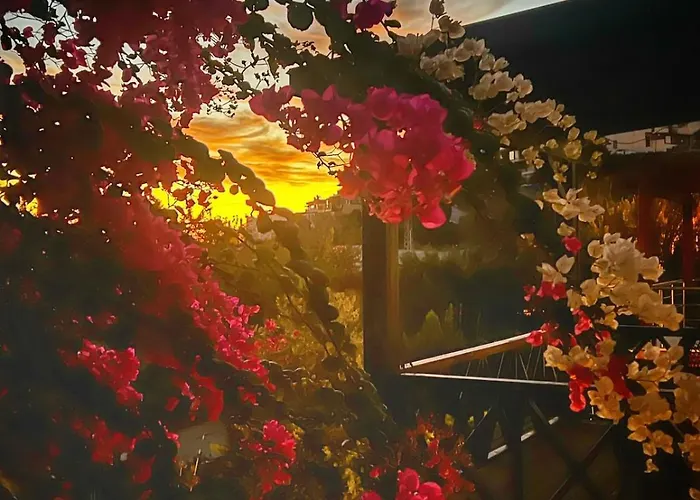 Peacefull Vacation In Newly Designed וילה *