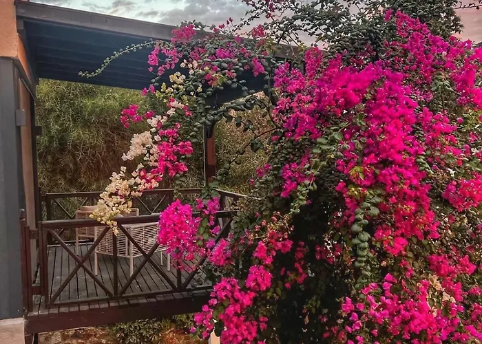 Peacefull Vacation In Newly Designed וילה *