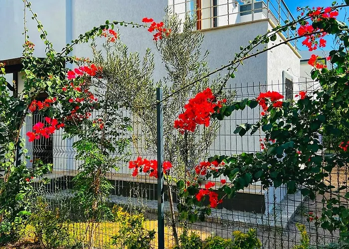 וילה Peacefull Vacation In Newly Designed