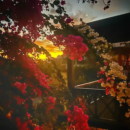 Peacefull Vacation In Newly Designed Villa *