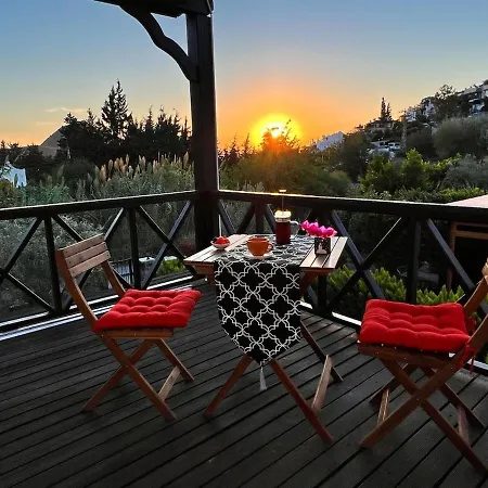 Peacefull Vacation In Newly Designed Villa Karaincir