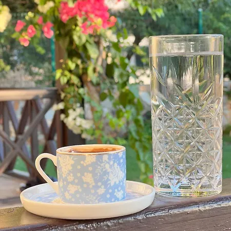 Villa Peacefull Vacation In Newly Designed