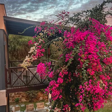 Peacefull Vacation In Newly Designed Villa *