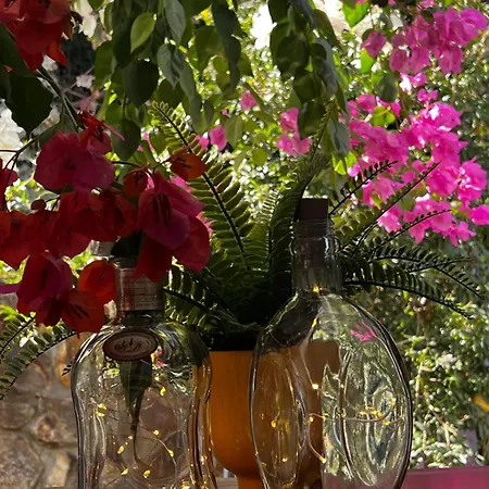 Villa Peacefull Vacation In Newly Designed