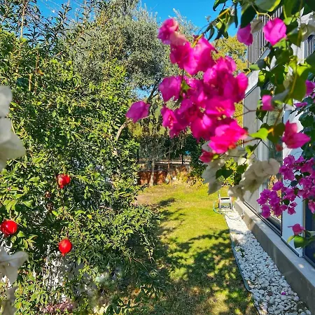 Peacefull Vacation In Newly Designed