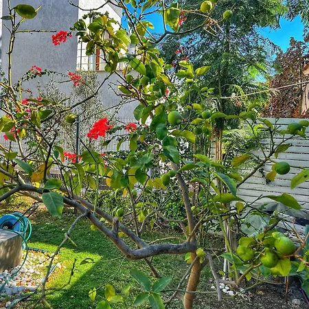 Villa Peacefull Vacation In Newly Designed *