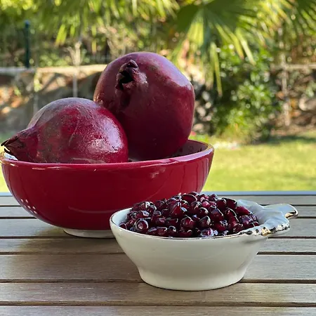 Villa Peacefull Vacation In Newly Designed Karaincir