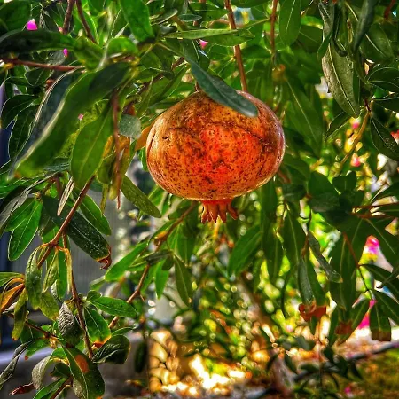 Villa Peacefull Vacation In Newly Designed Karaincir