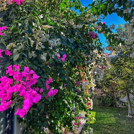 Peacefull Vacation In Newly Designed