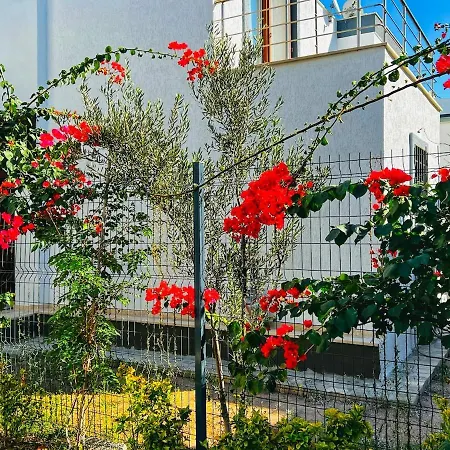 Villa Peacefull Vacation In Newly Designed