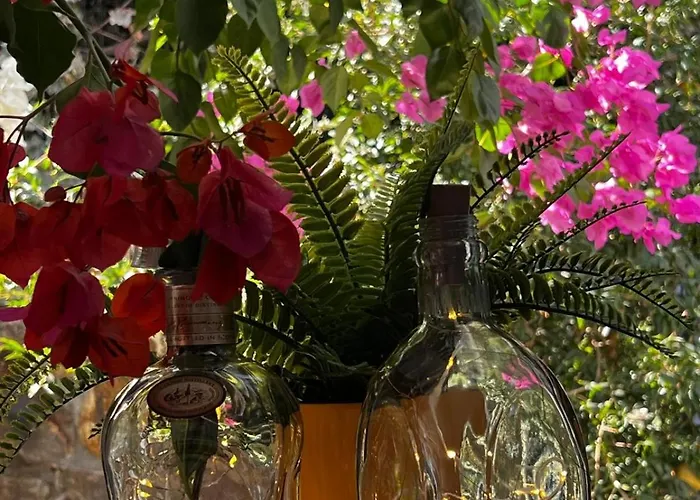 빌라 Peacefull Vacation In Newly Designed