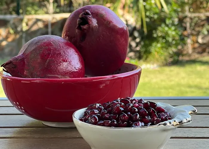 빌라 Peacefull Vacation In Newly Designed Karaincir