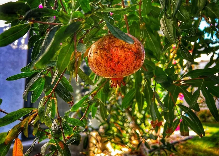 빌라 Peacefull Vacation In Newly Designed Karaincir